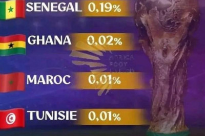 Coupe du monde 2022 : Le Cameroun n’a aucune chance de soulever le trophée (0%), le sondage qui fâche?