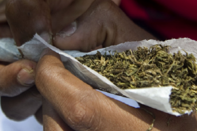 Journée Internationale contre la Drogue : le Ministre des Transports monte au créneau!