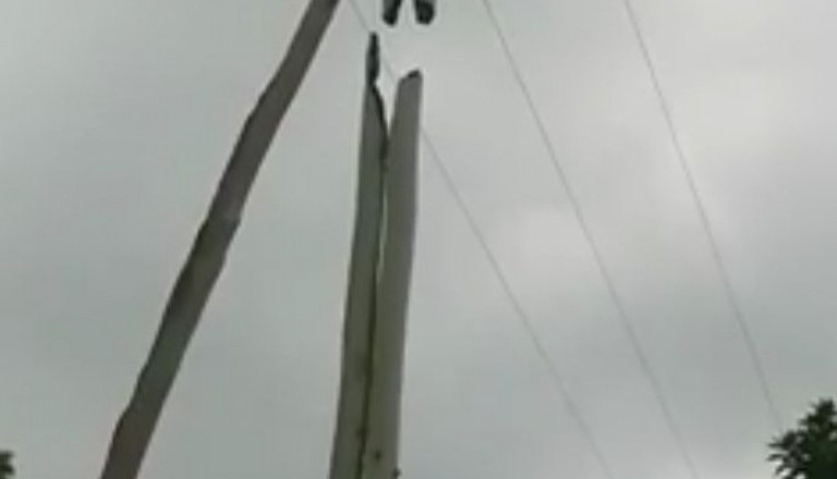 Ouest-Cameroun : un poteau électrique transformé en site touristique