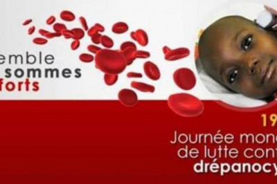 Lutte contre la drépanocytose : Le Cameroun face au problème de prise en charge