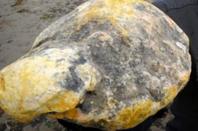 Découverte : comment être multimillionnaire en se baladant à la plage