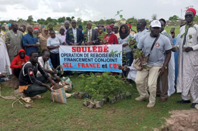 Protection de l’environnement : Le Comité de Développement de Soulede fait planter 1800 arbres à Soulede-Roua 