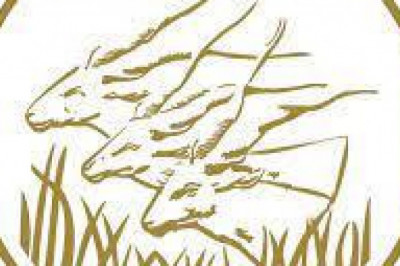 Beac : Un concours sous-régional sur la stabilité monétaire lancé