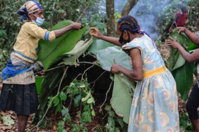 Des influenceurs web s’associent à la lutte pour la défense des droits des populations autochtones et la protection de l’environnement