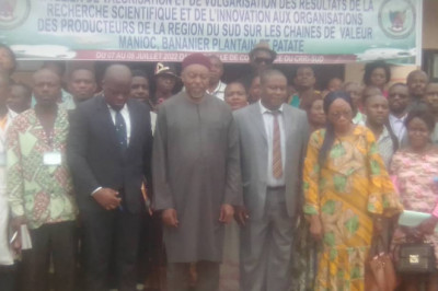 Région du Sud : Des spéculations agricoles pour booster l’économie