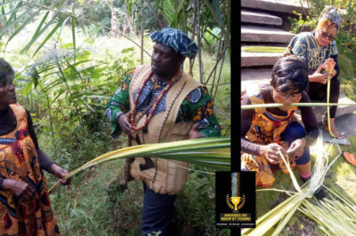 Production du Ndop : Le raphia, une perle désormais rare !