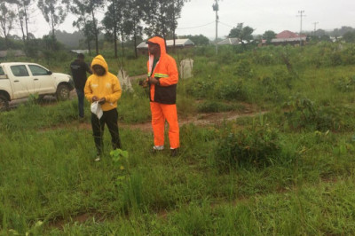 Lutte contre la désertification : Le lycée bilingue de Malang se transforme en école verte