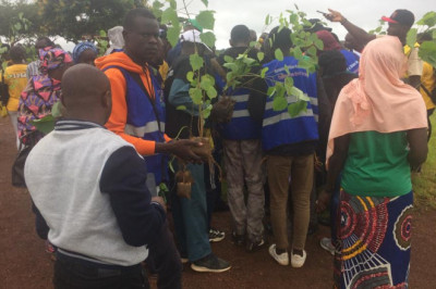 la lutte contre désertification et la sécheresse : Le lycée bilingue de Malang se transforme en école verte