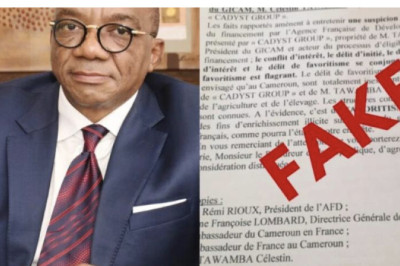 Celestin Tawamba : Aucune plainte contre lui en France