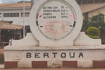 Bertoua : Les Corps de Deux Enfants Découpés Retrouvés au Cœur de la Ville