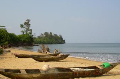 Insécurité urbaine : Deux corps abandonnés découverts à Kribi