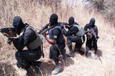 Cameroun : Recrutement spécial de 2000 commandos