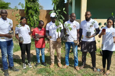 Mayo-Tsanaga : AJERED-MT plante 2 413 arbres en 5 ans