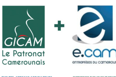 Fusion Gicam-Ecam:  Naissance du plus puissant patronat d’Afrique centrale et de l’ouest ce 14 Décembre 2023